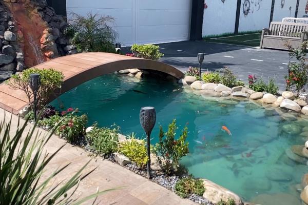 Bio-Piscina Recreativa en Monterrey