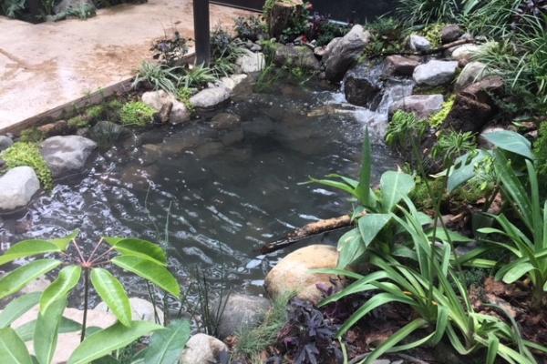 Ecosistema Natural en Avándaro.