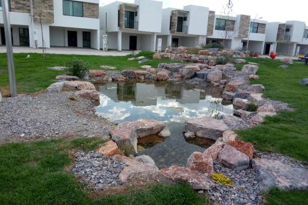 Estanque Decorativo en Fraccionamiento de San Luis Potosí